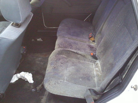 Schimmel.... gefahr für Tanja´s Kinder!