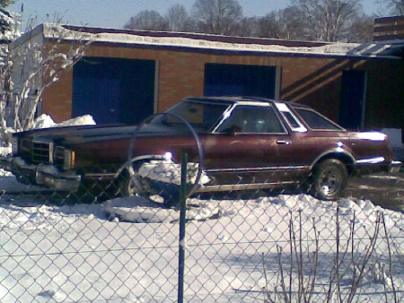 Nein hier soll kein Blumentopf von gemacht werden ...