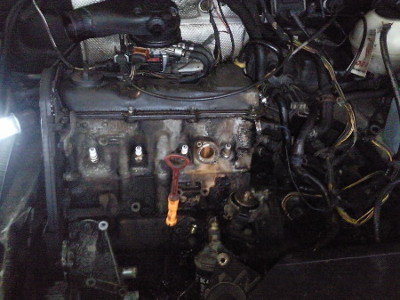 Alles erstmal ab und raus .....